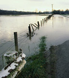 Claim Photograph